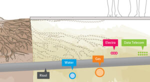 Bomen, kabels en leidingen: Samenwerking is de sleutel